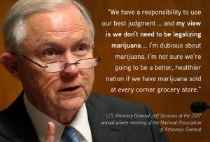 marijuana laws dissonance