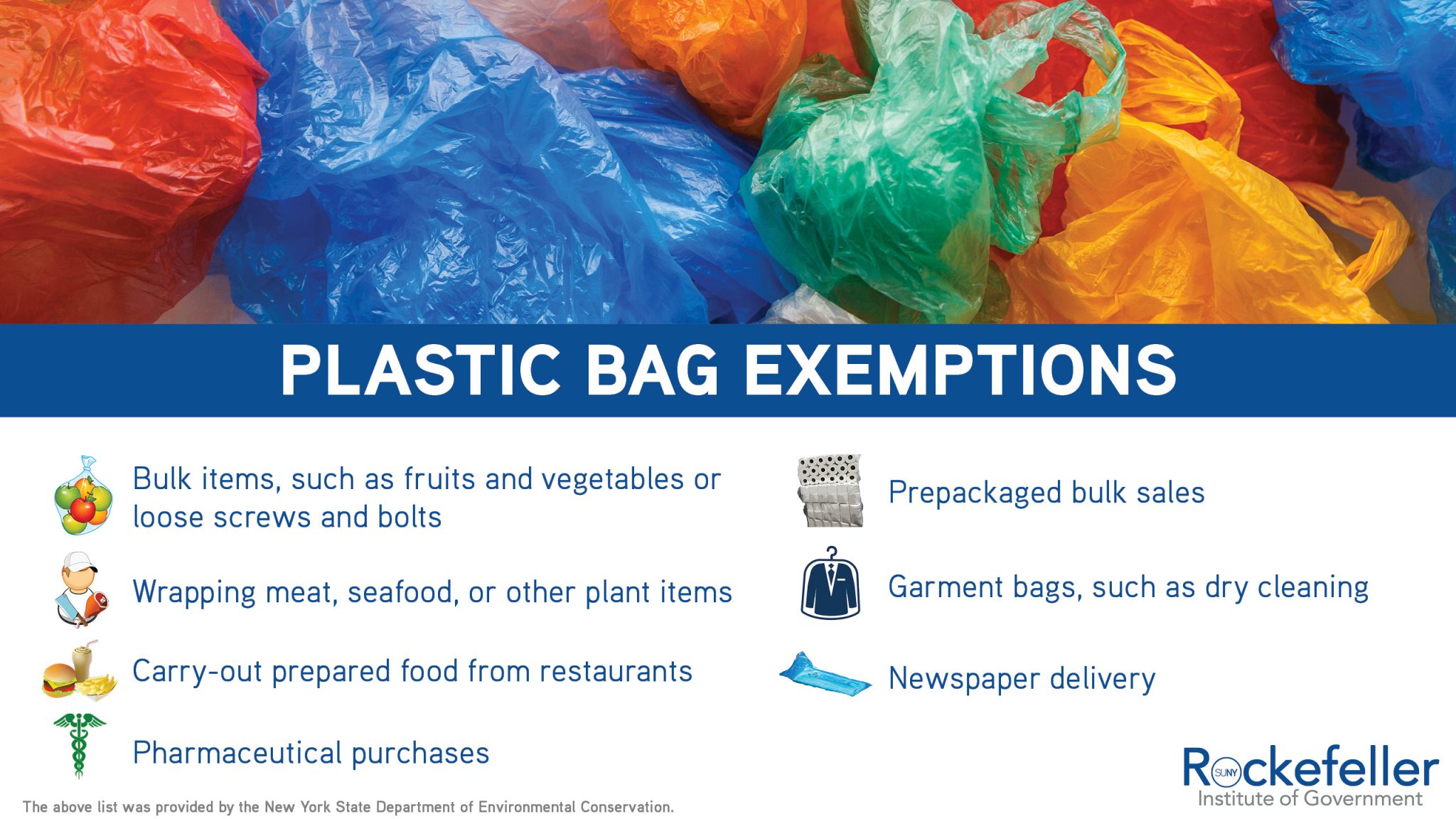 New Yorks Plastic Bag Ban What You Need To Know Rockefeller Institute Of Government