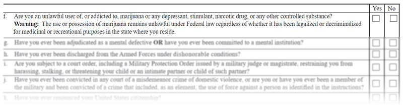 Question 21f on the ATF firearm transaction form.