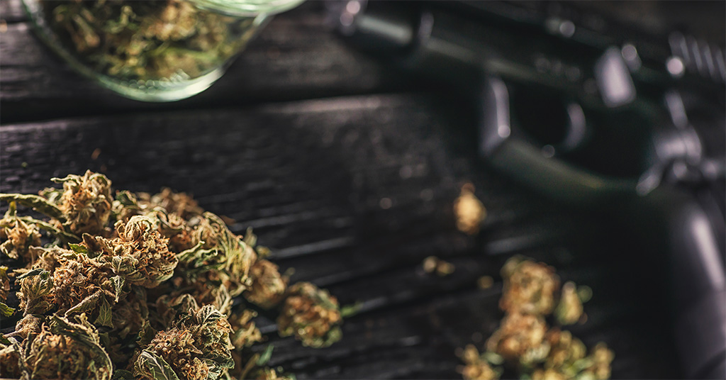 Circuit Breaker—Judicial Disconnect on Disarming Cannabis Users | Rockefeller Institute of Government